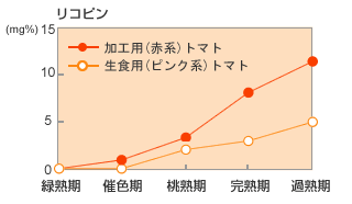 トマトの熟れ具合によるリコピン含有量