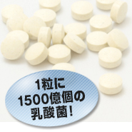 �P����1500���̓��_�ۂ��܂��Ă��܂�